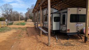 PXL 20230306 164331392 (1)