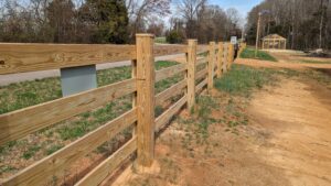 PXL 20230306 164359682 (1)